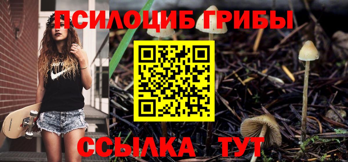 Сорочинск  магазин    Галлюциногенные грибы мухоморы  Вход с VPN  Галлюциногенные грибы Psilocybe 